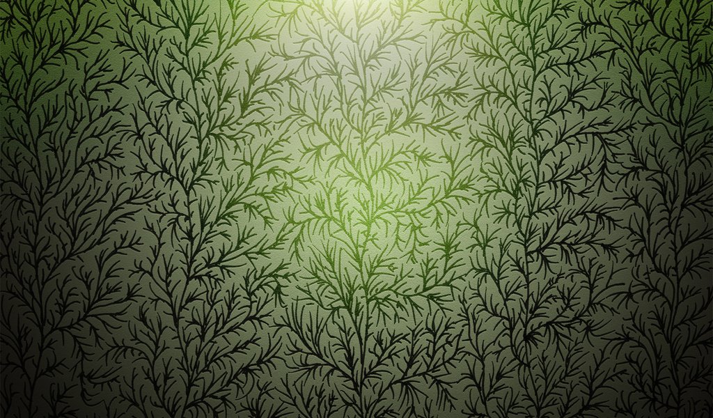 Обои растения, фон, ветки, plants, background, branches разрешение 1920x1200 Загрузить