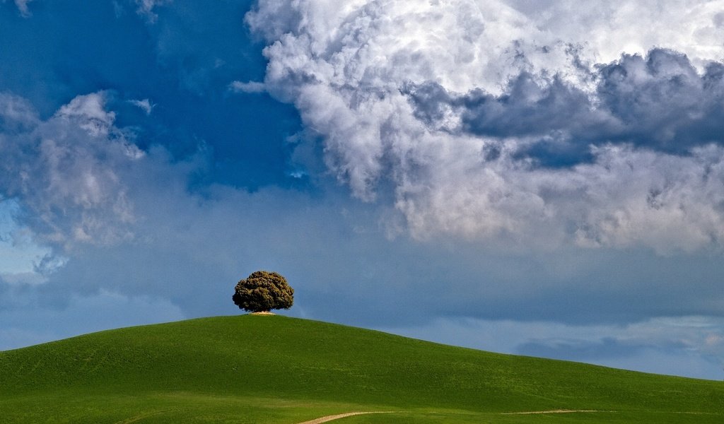 Обои облака, дерево, холм, clouds, tree, hill разрешение 2200x1650 Загрузить