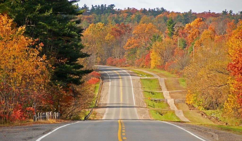 Обои дорога, деревья, осень, road, trees, autumn разрешение 1920x1200 Загрузить