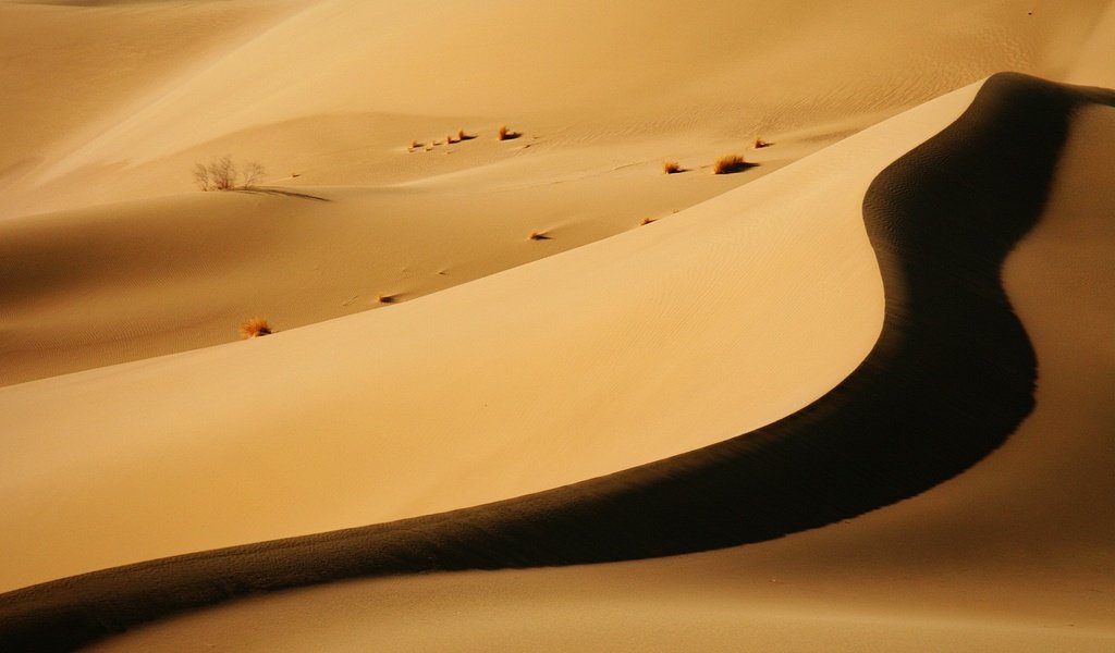 Обои пустыня, тень, бархан, desert, shadow, barkhan разрешение 1920x1200 Загрузить