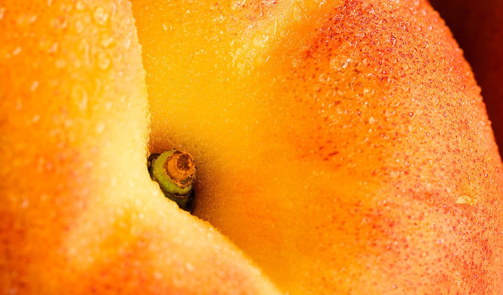 Обои фрукт, персик, крупным планом, fruit, peach, closeup разрешение 1920x1200 Загрузить