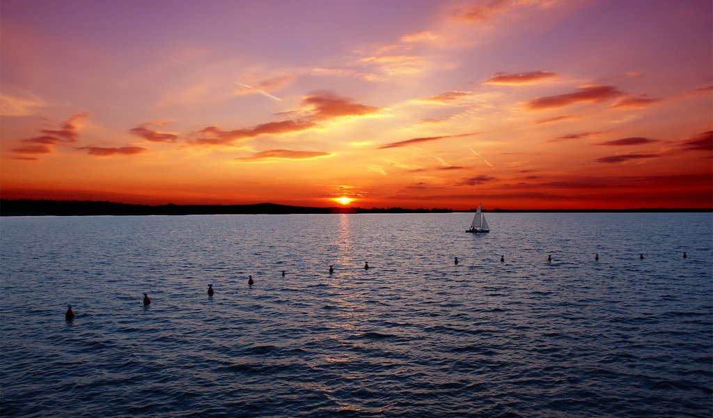 Обои небо, закат, море, горизонт, яхта, the sky, sunset, sea, horizon, yacht разрешение 1920x1200 Загрузить