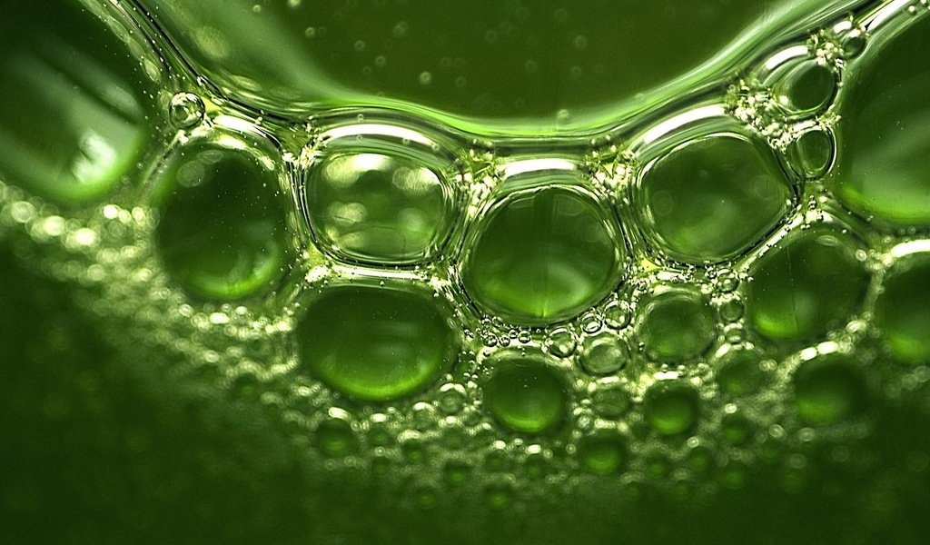 Обои зелень, отражение, пузыри, greens, reflection, bubbles разрешение 1920x1440 Загрузить