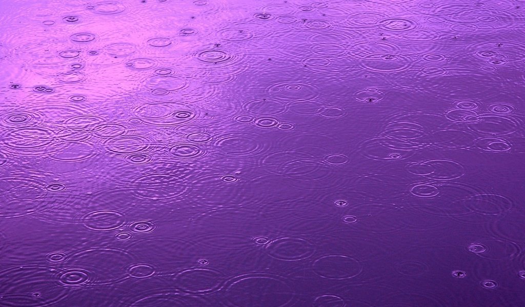 Обои вода, капли, цвет, круги, дождь, water, drops, color, circles, rain разрешение 1920x1440 Загрузить