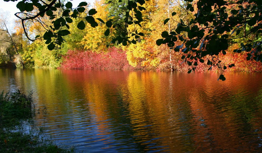 Обои река, природа, осень, river, nature, autumn разрешение 3671x2468 Загрузить