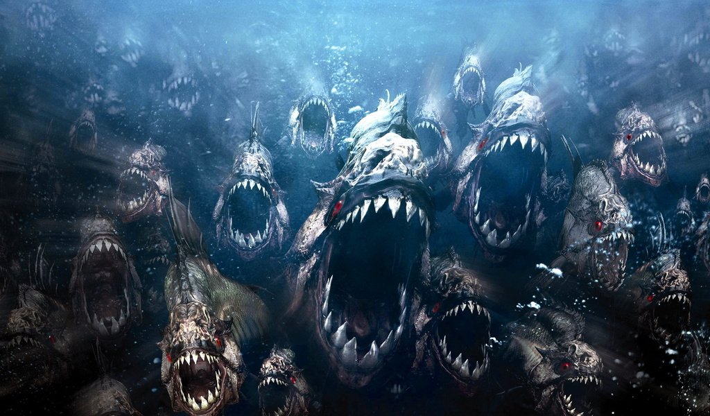 Обои рыбки, злые, пираньи, fish, evil, piranhas разрешение 1920x1200 Загрузить