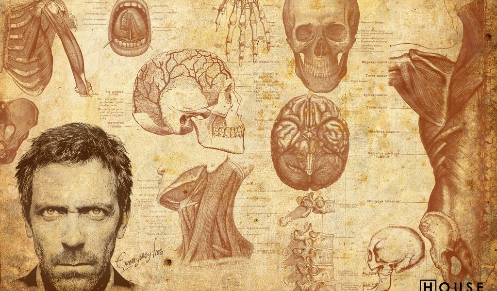 Обои дом, хью лори, доктор, хаус, house md, house, hugh laurie, dr. разрешение 2560x1600 Загрузить