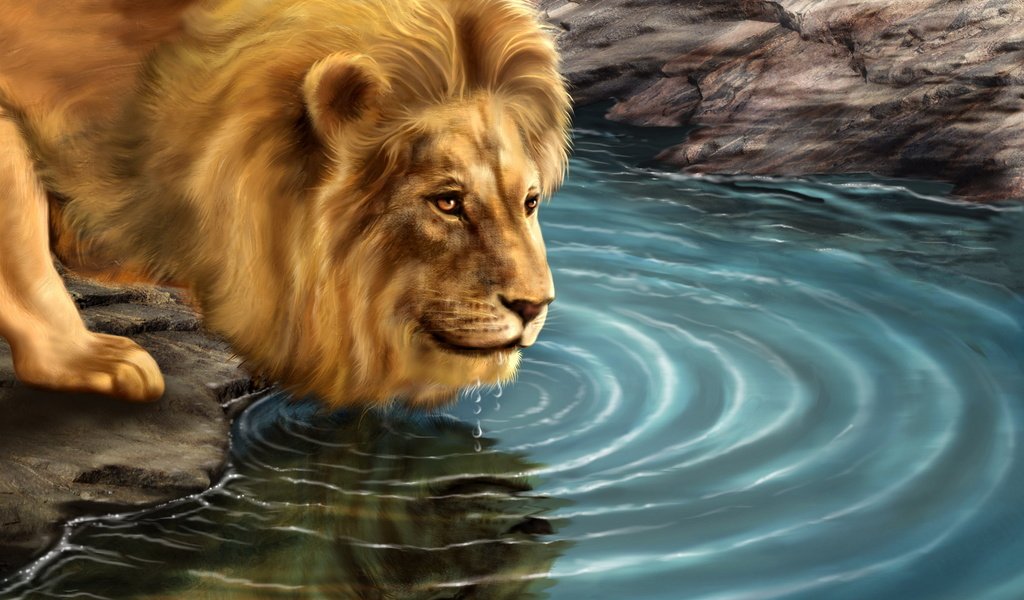 Обои картина, хищник, лев, водопой, picture, predator, leo, drink разрешение 2400x1565 Загрузить