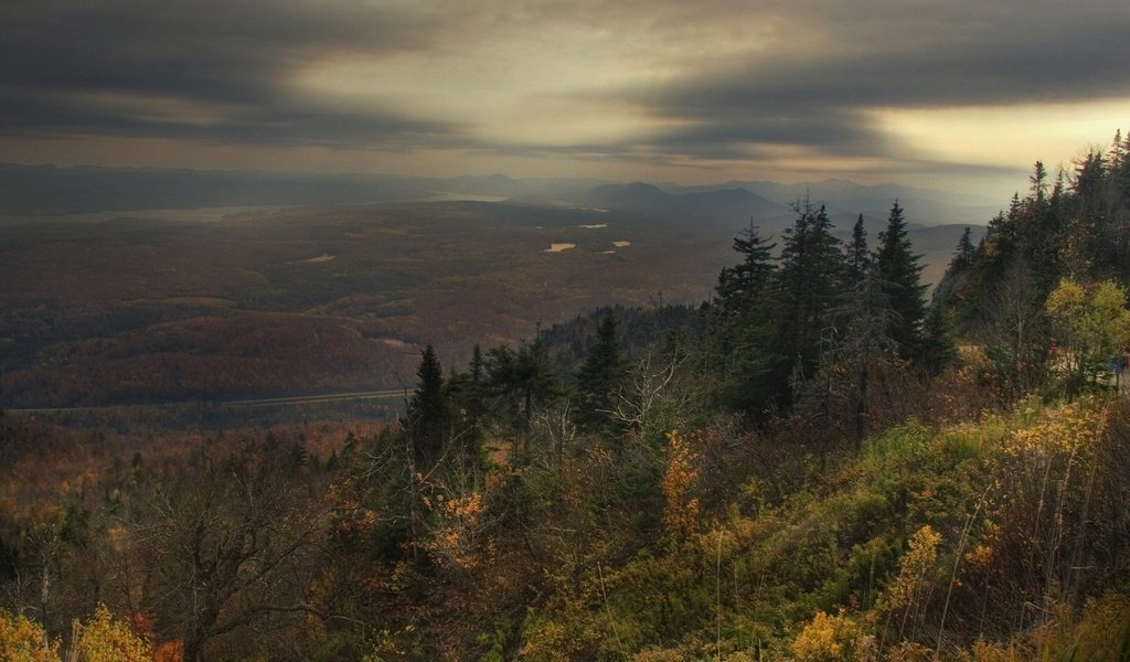 Обои лес, грусть, осень, forest, sadness, autumn разрешение 1920x1440 Загрузить