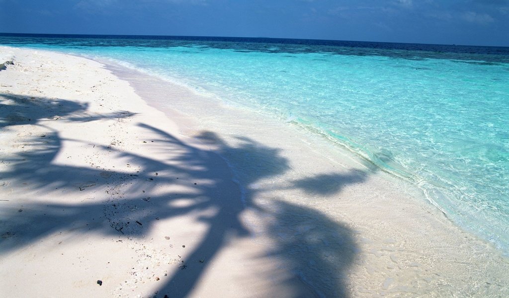 Обои вода, песок, пляж, горизонт, побережье, тень, океан, пальма, water, sand, beach, horizon, coast, shadow, the ocean, palma разрешение 1920x1200 Загрузить