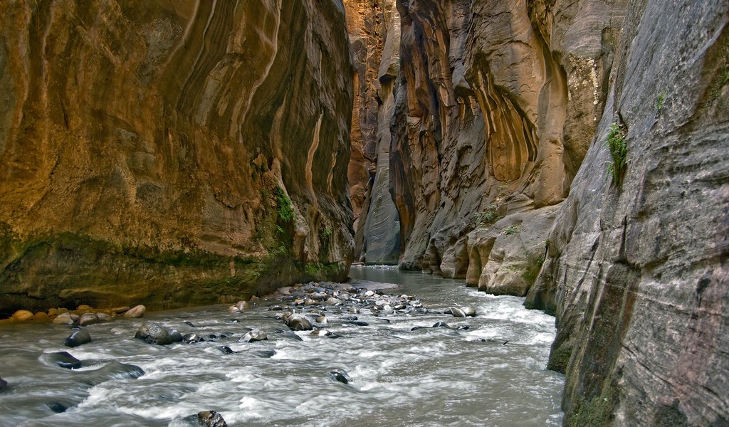 Обои река, камни, скала, ущелье, river, stones, rock, gorge разрешение 1920x1200 Загрузить