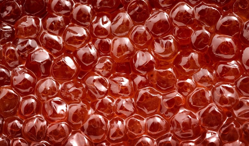 Обои пузыри, красный, икра, красная икра, крупным планом, bubbles, red, caviar, red caviar, closeup разрешение 1920x1200 Загрузить