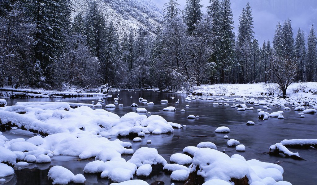 Обои снег, лес, ручей, snow, forest, stream разрешение 3750x1200 Загрузить