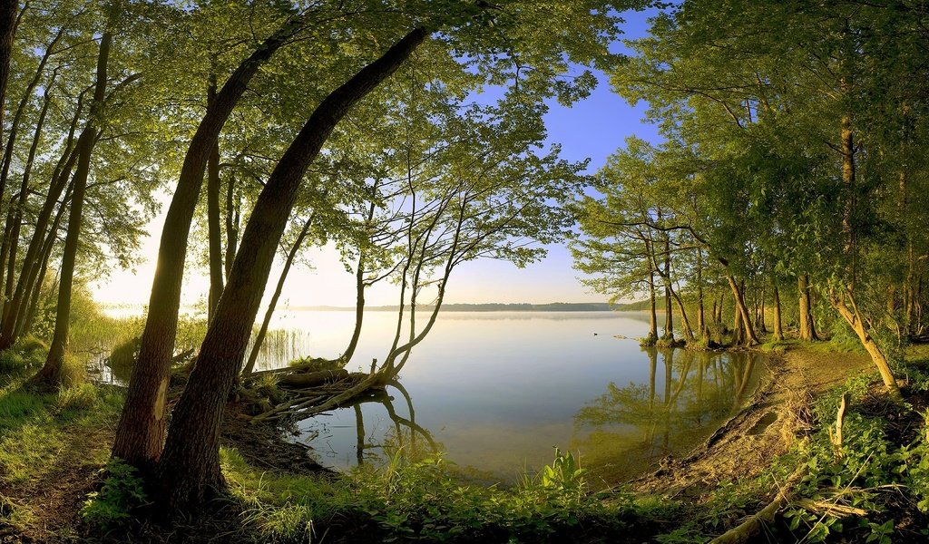 Обои деревья, озеро, берег, trees, lake, shore разрешение 1920x1200 Загрузить