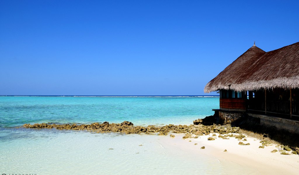 Обои вода, море, песок, голубой, остров, хижина, water, sea, sand, blue, island, hut разрешение 2560x1600 Загрузить