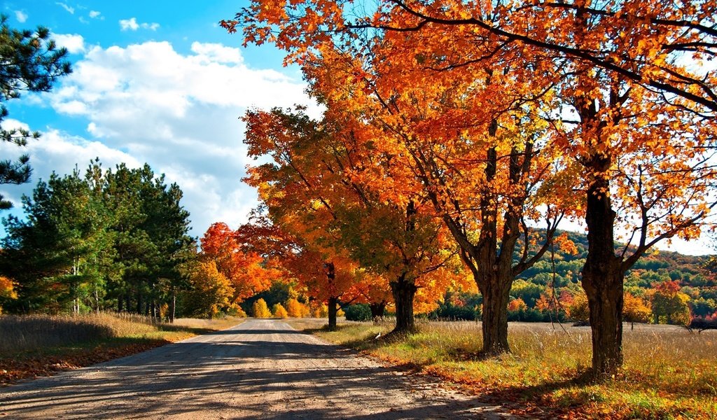 Обои дорога, деревья, лес, осень, краски осени, road, trees, forest, autumn, the colors of autumn разрешение 1920x1200 Загрузить