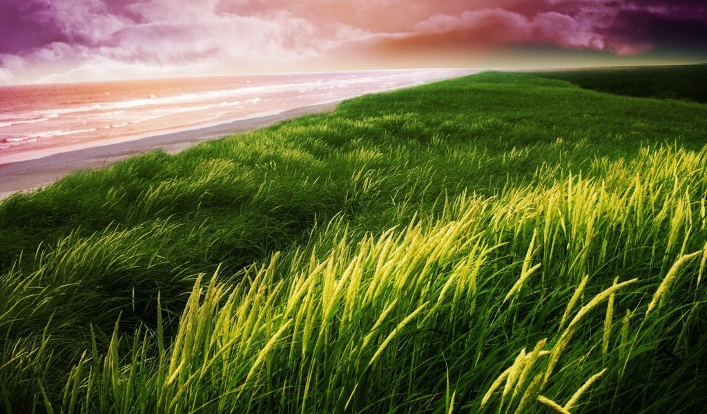 Обои небо, трава, природа, берег, пляж, пейзажи, the sky, grass, nature, shore, beach, landscapes разрешение 2560x1570 Загрузить