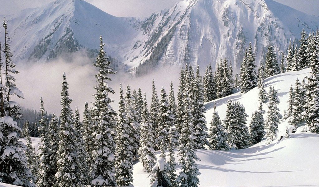Обои горы, снег, зима, вершины, ель, сугроб, mountains, snow, winter, tops, spruce, the snow разрешение 1920x1200 Загрузить