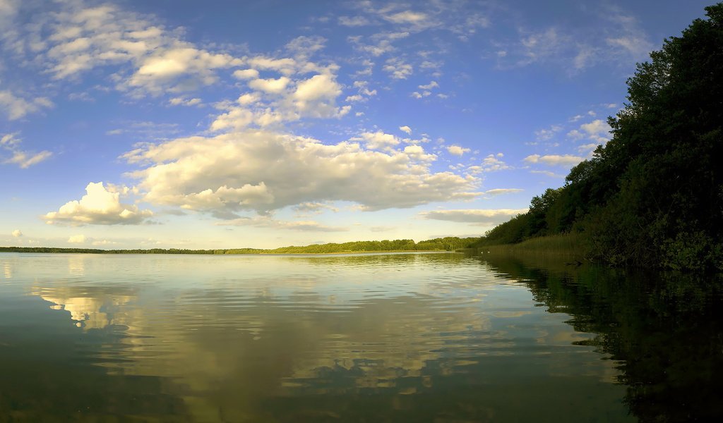 Обои небо, облака, деревья, река, природа, берег, лес, отражение, the sky, clouds, trees, river, nature, shore, forest, reflection разрешение 1920x1080 Загрузить