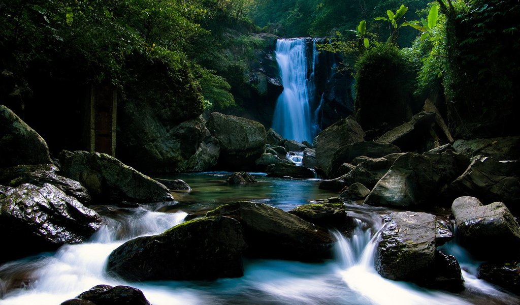 Обои камни, лес, водопад, тропики, stones, forest, waterfall, tropics разрешение 1920x1080 Загрузить