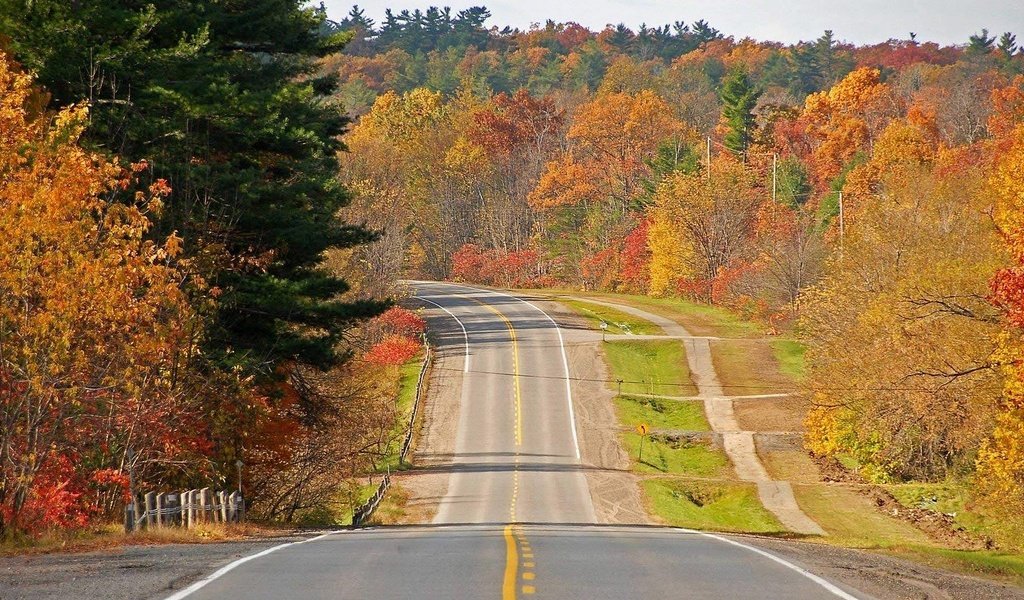 Обои дорога, деревья, лес, осень, road, trees, forest, autumn разрешение 1920x1080 Загрузить