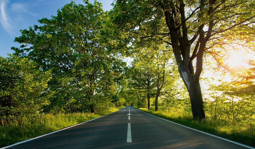 Обои дорога, деревья, листва, лето, разметка, road, trees, foliage, summer, markup разрешение 1920x1200 Загрузить