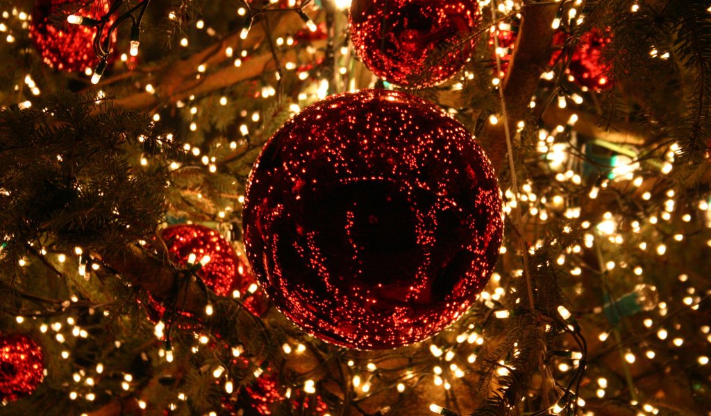 Обои огни, елочные украшения, новогодние игрушки, новый год, новогодний шар, шары, украшения, зима, праздник, рождество, елочные игрушки, lights, christmas toys, new year, christmas ball, balls, decoration, winter, holiday, christmas, christmas decorations разрешение 2560x1600 Загрузить