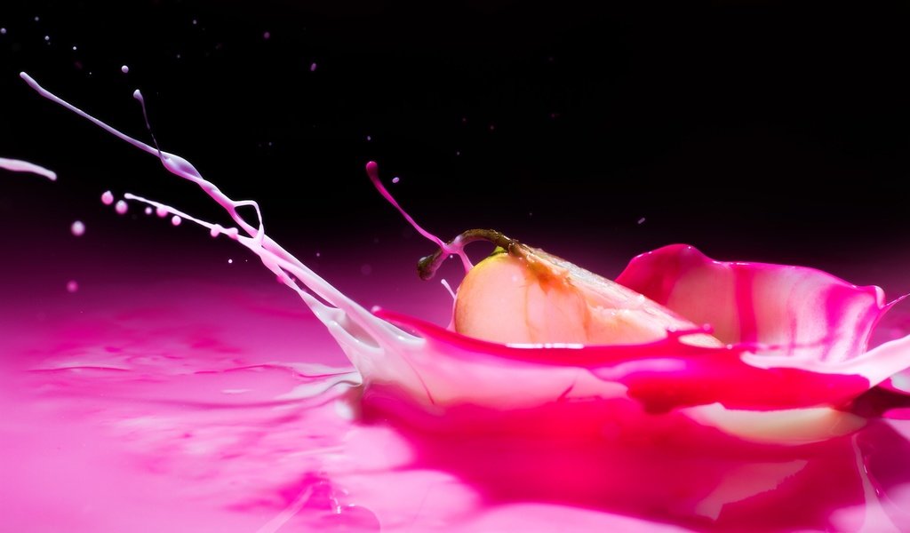 Обои капли, брызги, краска, розовые, всплеск, груша, долька, drops, squirt, paint, pink, splash, pear, slice разрешение 2560x1600 Загрузить