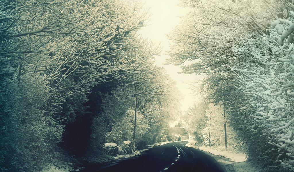 Обои дорога, деревья, снег, зима, ветки, мороз, иней, road, trees, snow, winter, branches, frost разрешение 2560x1600 Загрузить