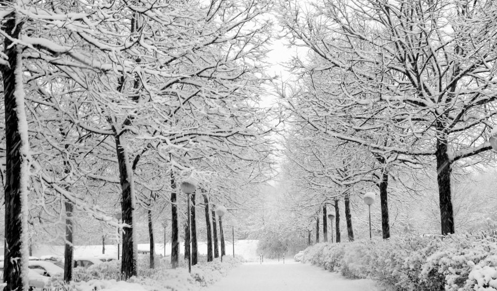 Обои снег, природа, зима, парк, чёрно-белое, аллея, уличный фонарь, snow, nature, winter, park, black and white, alley разрешение 2704x1764 Загрузить