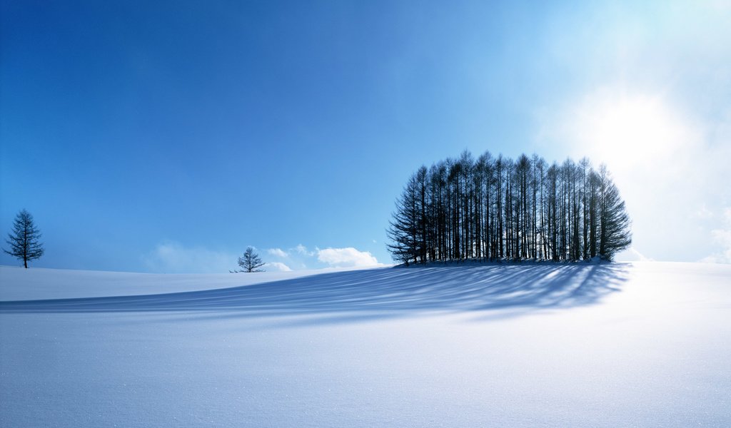 Обои небо, дорога, деревья, горы, солнце, снег, зима, the sky, road, trees, mountains, the sun, snow, winter разрешение 1920x1200 Загрузить