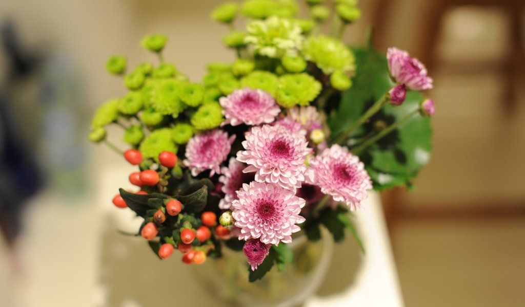 Обои цветы, букет, хризантемы, flowers, bouquet, chrysanthemum разрешение 2560x1600 Загрузить