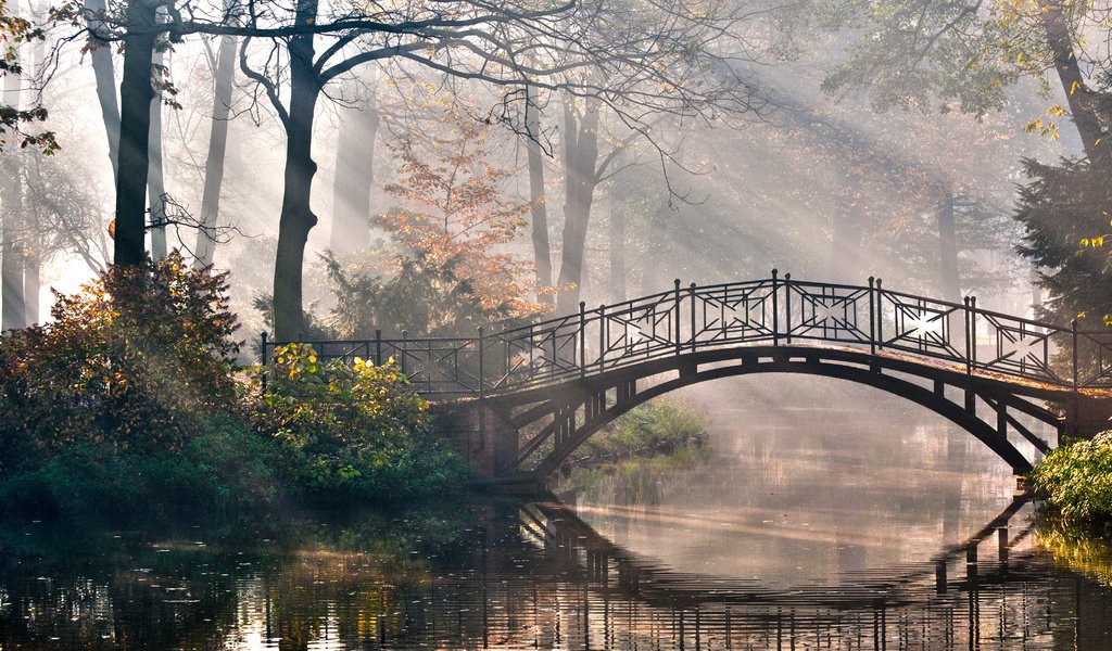 Обои деревья, природа, мостик, лучи, парк, кусты, романтика, речка, trees, nature, the bridge, rays, park, the bushes, romance, river разрешение 4288x2848 Загрузить