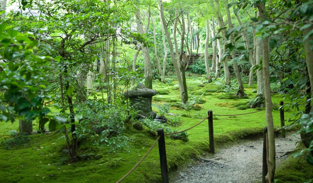 Обои деревья, лето, япония, сад, тропинка, trees, summer, japan, garden, path разрешение 1920x1200 Загрузить