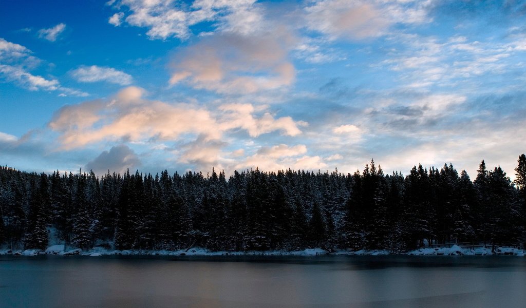 Обои облака, деревья, вода, озеро, лес, clouds, trees, water, lake, forest разрешение 1920x1200 Загрузить