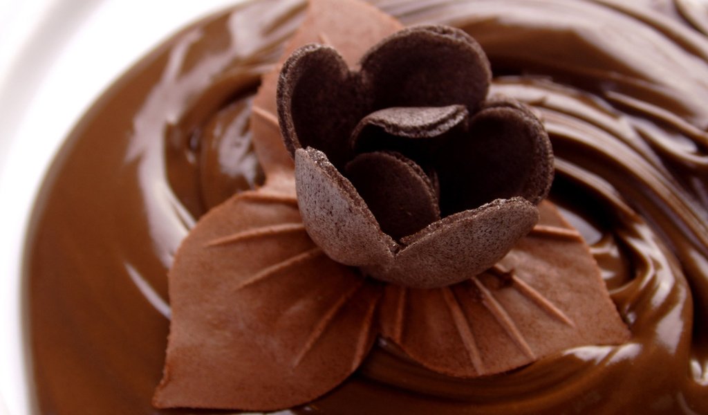 Обои шоколад, сладкое, шоколадный цветок, chocolate, sweet, chocolate flower разрешение 1920x1200 Загрузить