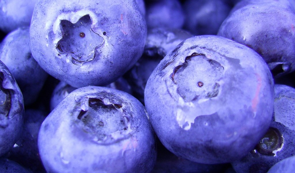 Обои макро, еда, ягоды, лесные ягоды, черника, 1920х1080, черничный, macro, food, berries, blueberries, 1920x1080, blueberry разрешение 1920x1080 Загрузить