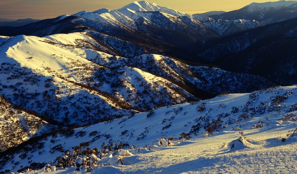 Обои горы, снег, склоны, австралия, растительность, mountains, snow, the slopes, australia, vegetation разрешение 1920x1440 Загрузить