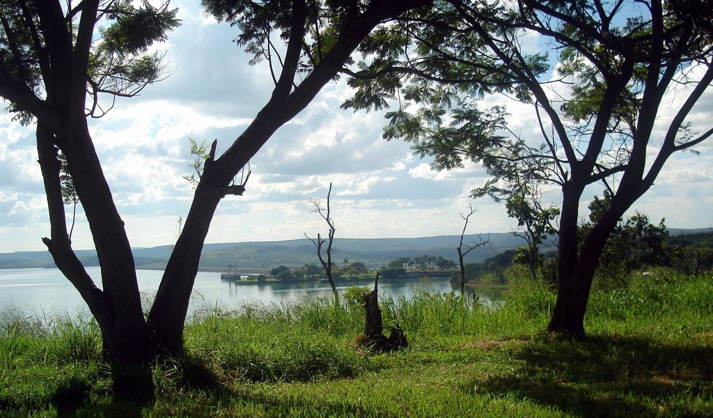 Обои деревья, река, берег, trees, river, shore разрешение 1920x1080 Загрузить