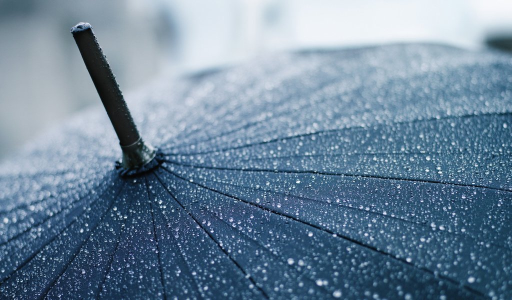 Обои макро, капли, дождь, зонт, зонтик, macro, drops, rain, umbrella разрешение 1920x1080 Загрузить