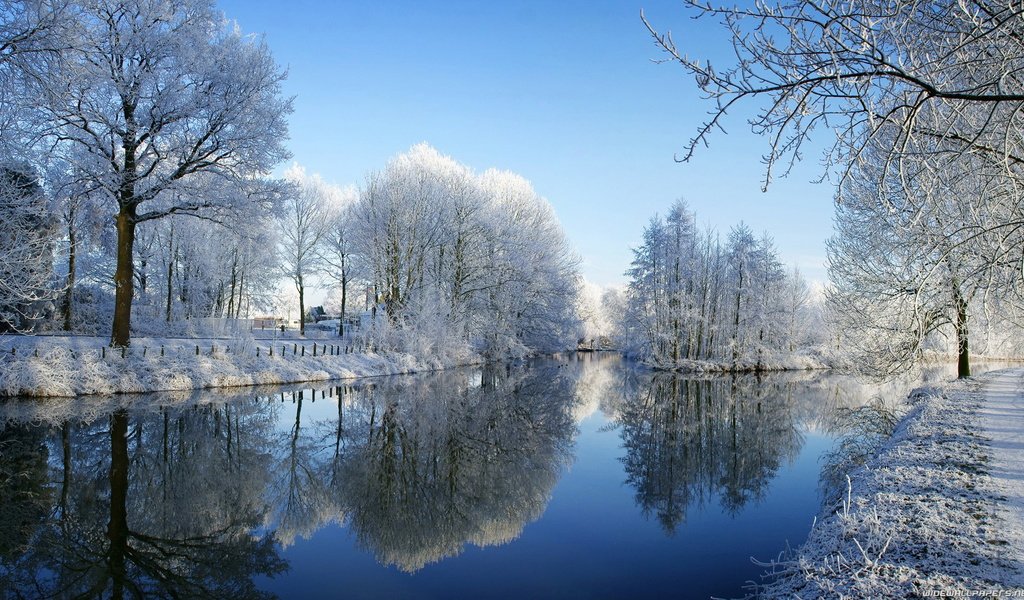 Обои деревья, снег, зима, отражение, пруд, trees, snow, winter, reflection, pond разрешение 1920x1080 Загрузить