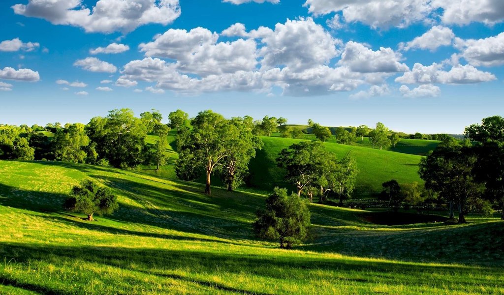 Обои небо, луга, облака, деревья, холмы, зелень, пейзаж, лето, тени, the sky, meadows, clouds, trees, hills, greens, landscape, summer, shadows разрешение 1920x1200 Загрузить