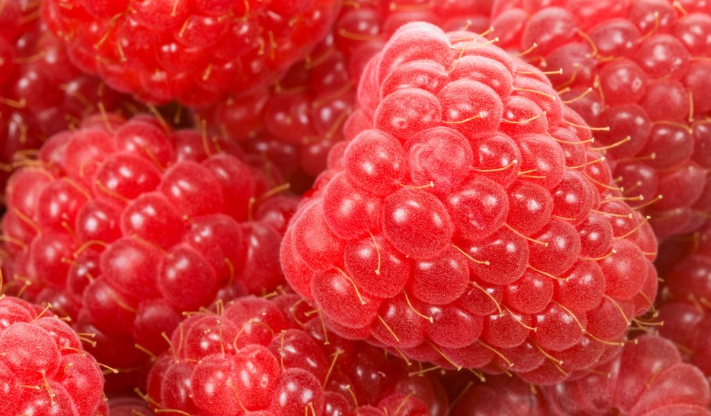 Обои макро, малина, ягода, спелая, красная малинка, macro, raspberry, berry, ripe, red raspberry разрешение 1920x1252 Загрузить