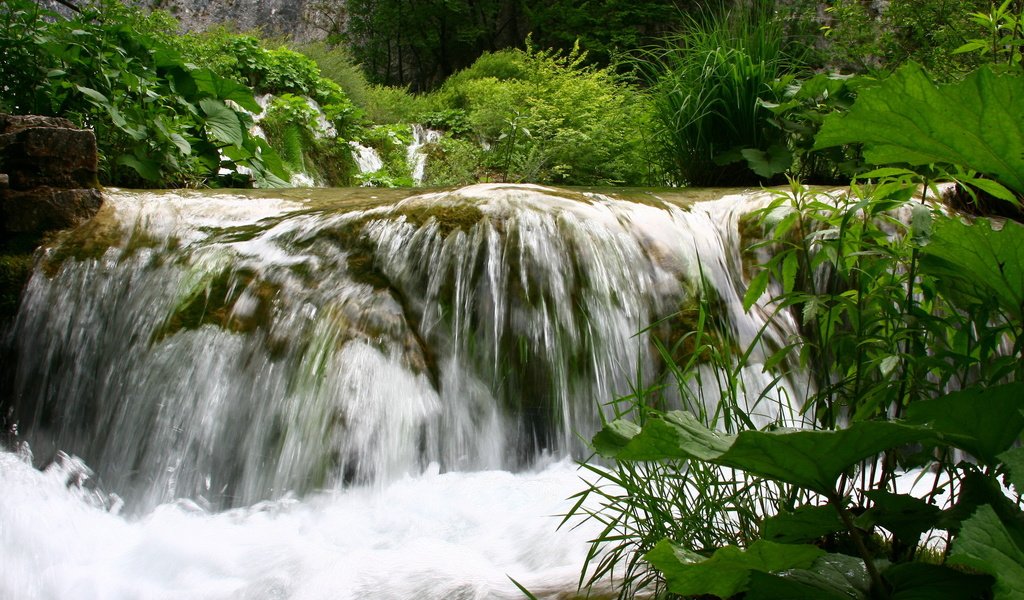 Обои вода, природа, зелень, пейзаж, лето, водопад, небольшой водопад, water, nature, greens, landscape, summer, waterfall, a small waterfall разрешение 1920x1280 Загрузить