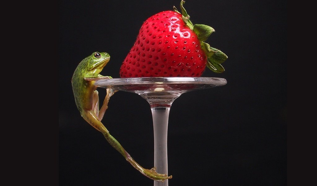 Обои клубника, лягушка, strawberry, frog разрешение 1920x1200 Загрузить