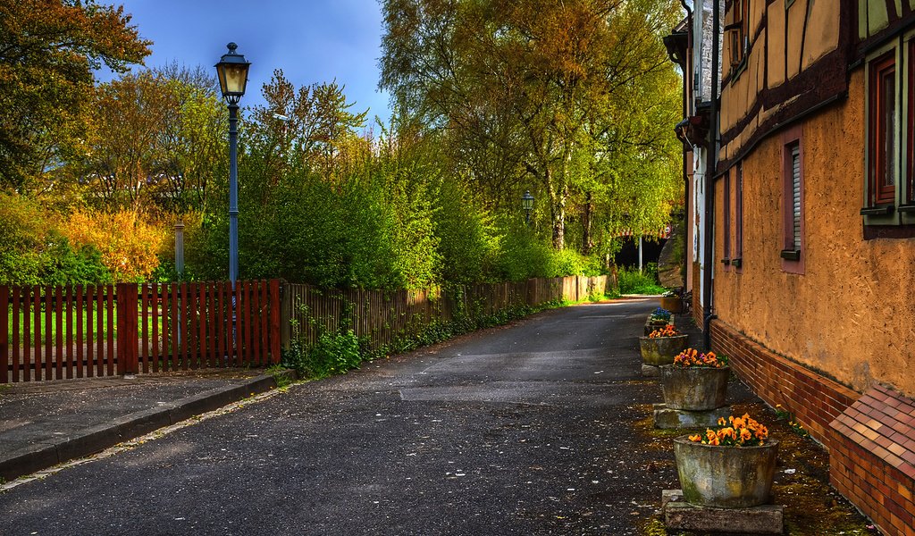 Обои деревья, осень, забор, улица, дом, фонарь, trees, autumn, the fence, street, house, lantern разрешение 1920x1200 Загрузить