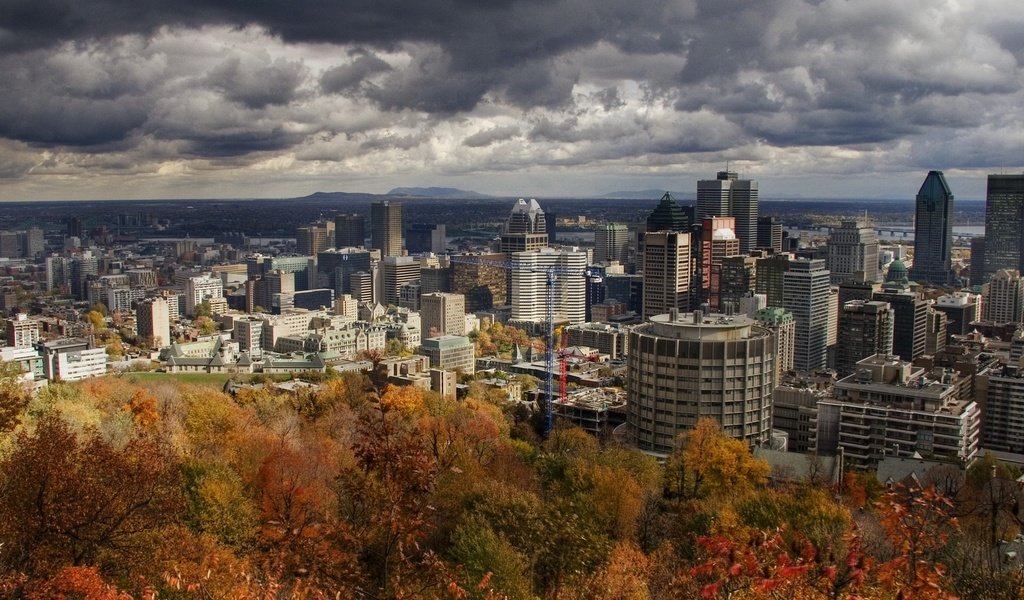 Обои небо, деревья, город, осень, здания, канада, монреаль, the sky, trees, the city, autumn, building, canada, montreal разрешение 1920x1440 Загрузить