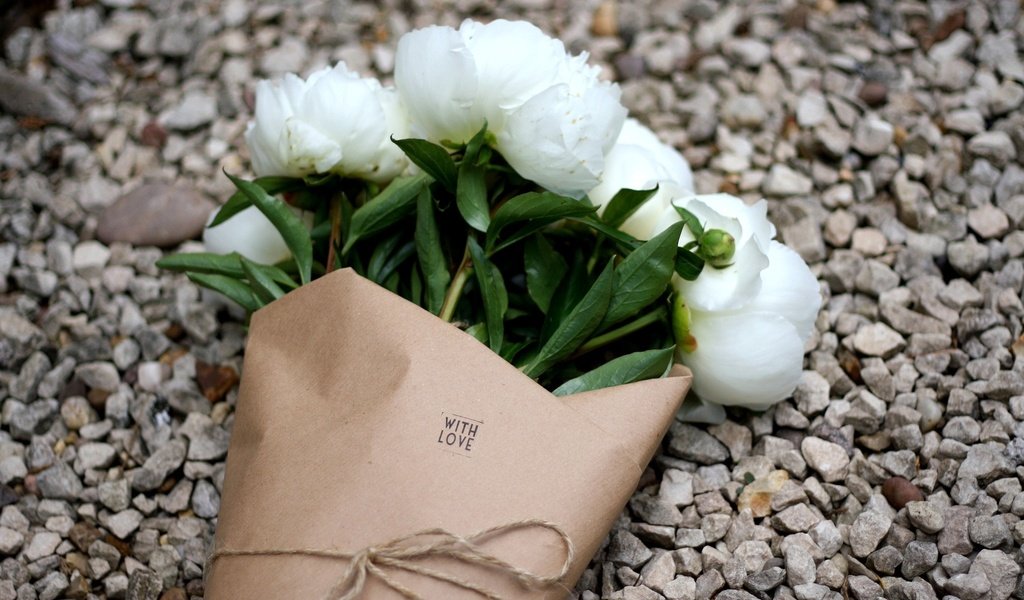 Обои букет, белые, гравий, пионы, bouquet, white, gravel, peonies разрешение 2500x1647 Загрузить