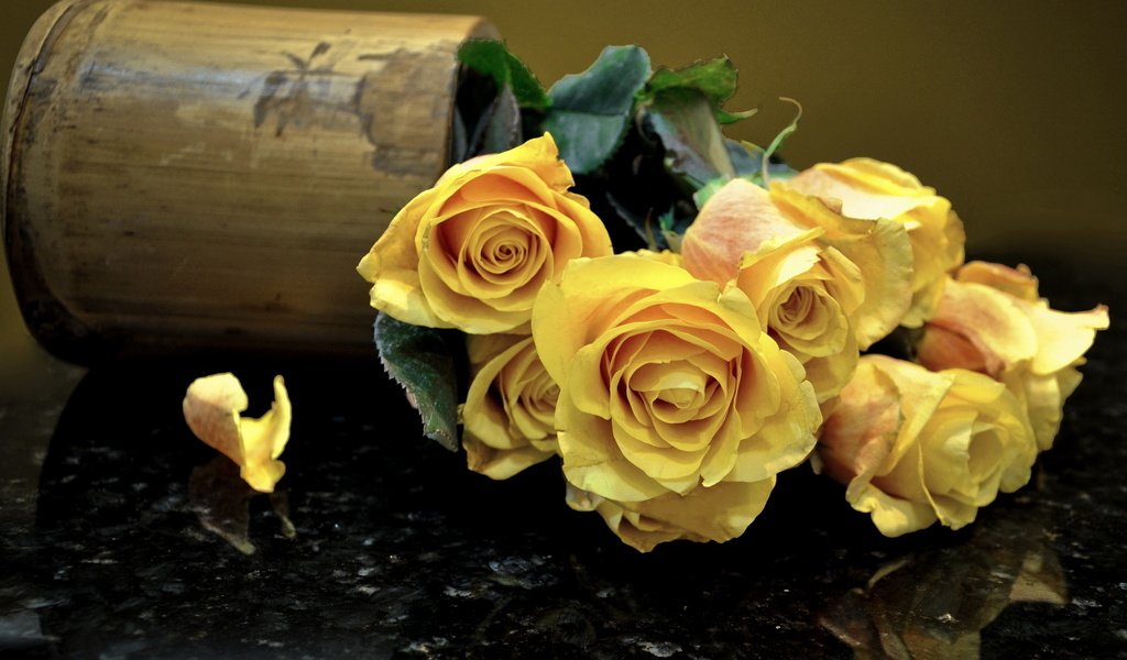 Обои розы, лепестки, букет, ваза, cvety, zheltye, rozy, buket, roses, petals, bouquet, vase разрешение 1920x1080 Загрузить