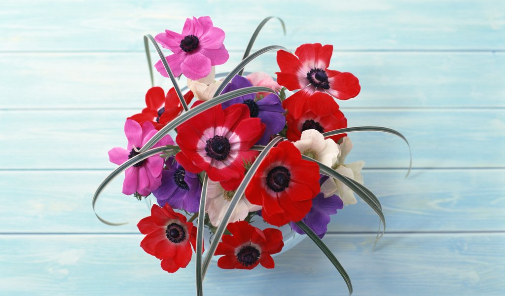 Обои cvety, krasnyj, buket, stol, kompoziciya разрешение 2950x2094 Загрузить
